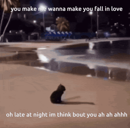 A Cat Sitting On The Ground With The Words You Make Me Wanna Make You Fall In Love On The Bottom GIF