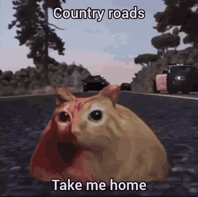 A Cat Sitting On The Side Of A Road With The Words Country Roads Take Me Home GIF