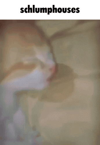 A Cat Sleeping On A Bed With The Words Schlumphouses Below It GIF
