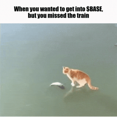 A Cat Standing In A Body Of Water With The Words When You Wanted To Get Into $ Base But You Missed The Train GIF