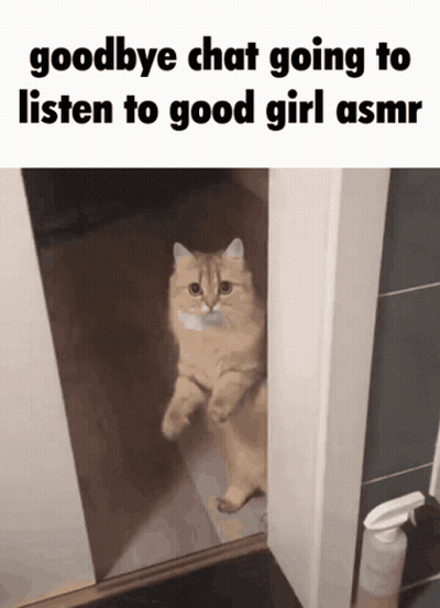 A Cat Standing In A Doorway With The Words Goodbye Chat Going To Listen To Good Girl Asmr Below It GIF
