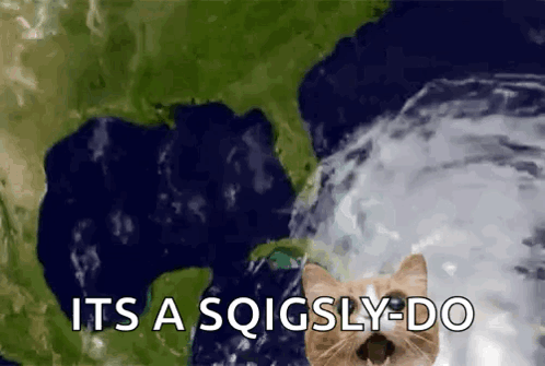 A Cat Standing In Front Of A Hurricane With The Words It 'S A Sqigsly-Do GIF