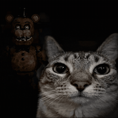 A Cat Standing In Front Of A Teddy Bear In A Dark Room GIF