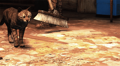 A Cat Standing Next To A Person Holding A Broom On A Messy Floor GIF