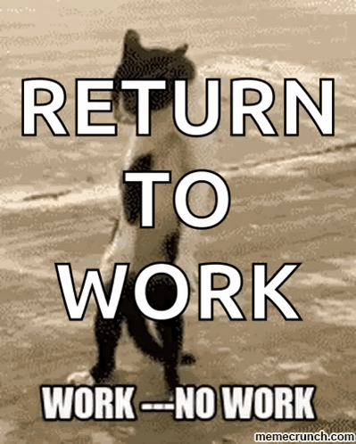 A Cat Standing On A Beach With The Words Return To Work Work-No Work GIF
