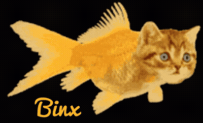A Cat That Looks Like A Goldfish With Binx Written Below It GIF