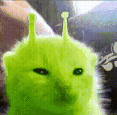 A Cat That Looks Like Shrek Is Being Held By Someone GIF