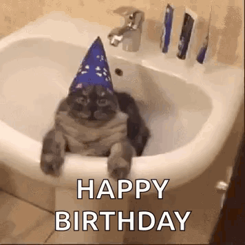 A Cat Wearing A Birthday Hat Is Sitting In A Sink . GIF