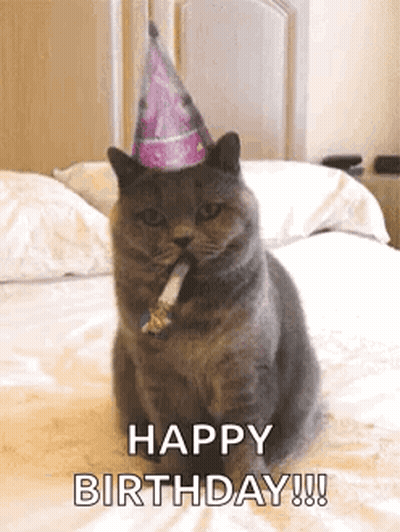 A Cat Wearing A Birthday Hat Is Sitting On A Bed With A Party Horn In Its Mouth . GIF