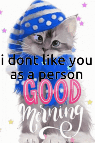 A Cat Wearing A Blue Hat And Scarf With The Words " I Dont Like You As A Person Good Morning " GIF