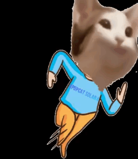 A Cat Wearing A Blue Shirt That Says Popcat Solar On It GIF