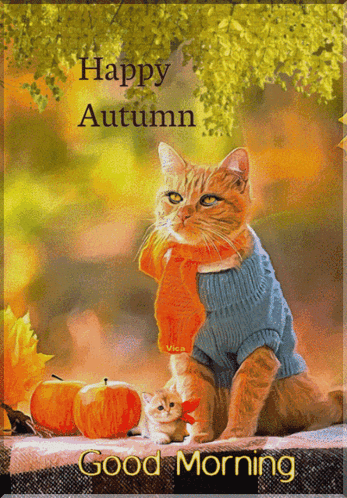 A Cat Wearing A Blue Sweater And Scarf Is Sitting Next To A Kitten And Pumpkins And Says Happy Autumn Good Morning GIF