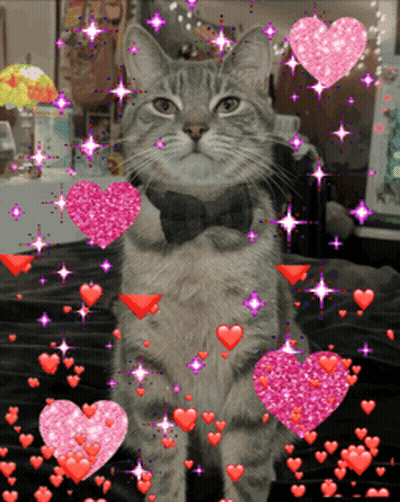 A Cat Wearing A Bow Tie Surrounded By Pink Hearts GIF