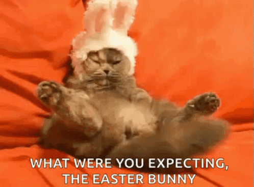 A Cat Wearing A Bunny Hat Is Laying On Its Back . GIF