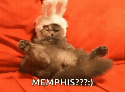A Cat Wearing A Bunny Hat Is Laying On Its Back . GIF
