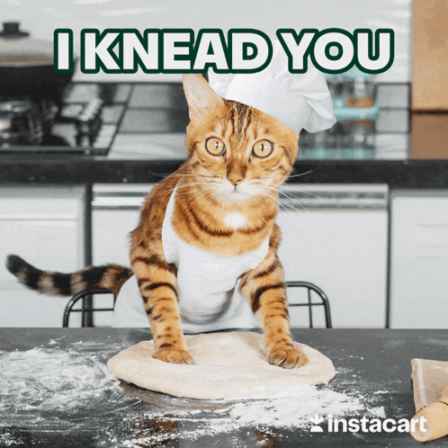 A Cat Wearing A Chef 'S Hat And Apron Is Kneading Dough On A Table GIF
