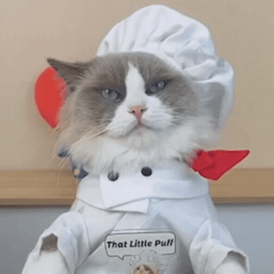 A Cat Wearing A Chef 'S Hat And Apron With A Sign That Says That Little Puff GIF