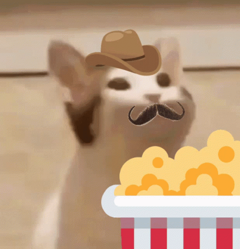 A Cat Wearing A Cowboy Hat And A Mustache Eating Popcorn GIF