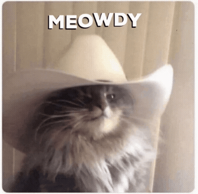 A Cat Wearing A Cowboy Hat With The Word Meowdy Written Above It GIF