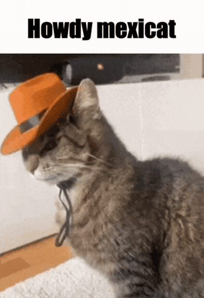 A Cat Wearing A Cowboy Hat With The Words Howdy Mexicat On The Bottom GIF