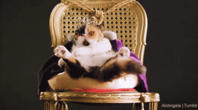 A Cat Wearing A Crown Sits On A Throne GIF