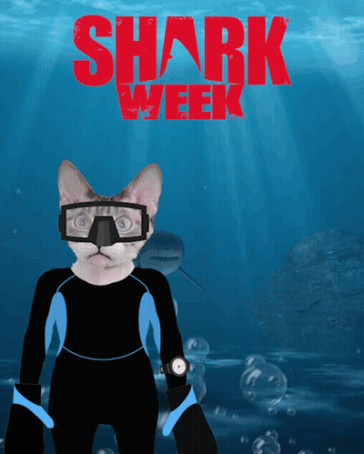 A Cat Wearing A Diving Suit And Goggles With The Words Shark Week Written Above It GIF