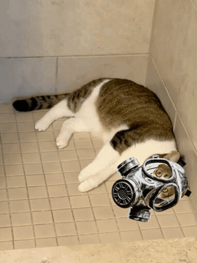 A Cat Wearing A Gas Mask Laying On The Floor GIF