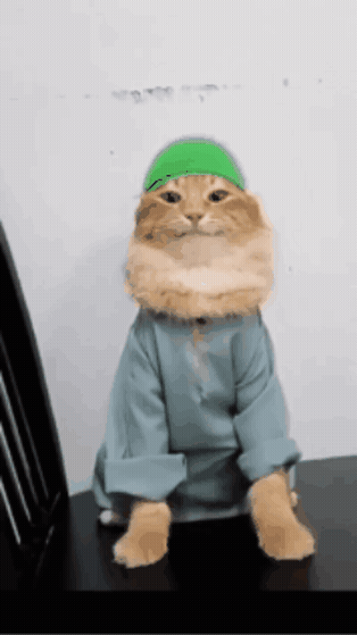 A Cat Wearing A Green Hat And A Blue Shirt Sits On A Chair GIF