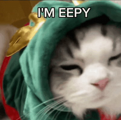 A Cat Wearing A Green Hat With The Words I 'M Eepy Written On It GIF