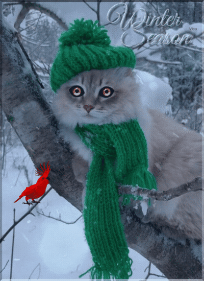 A Cat Wearing A Green Scarf And A Green Hat Is Sitting On A Snowy Branch GIF