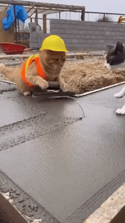A Cat Wearing A Hard Hat And Safety Vest Is Laying On The Ground GIF