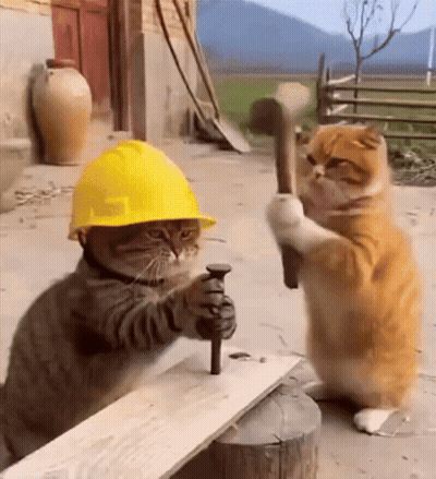 A Cat Wearing A Hard Hat Is Hammering A Nail Into Another Cat 'S Head GIF
