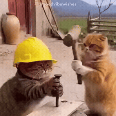 A Cat Wearing A Hard Hat Is Holding A Nail And A Hammer GIF
