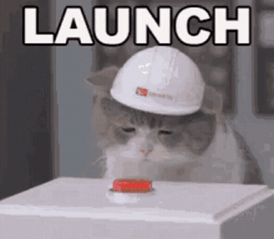 A Cat Wearing A Hard Hat Is Pressing A Button And The Word Launch Is Above It . GIF
