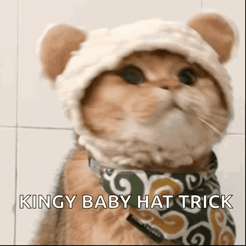 A Cat Wearing A Hat And A Bandana With The Words `` Kingy Baby Hat Trick '' Written On It . GIF