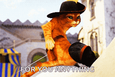 A Cat Wearing A Hat And Boots With The Words For You Anything Above It GIF