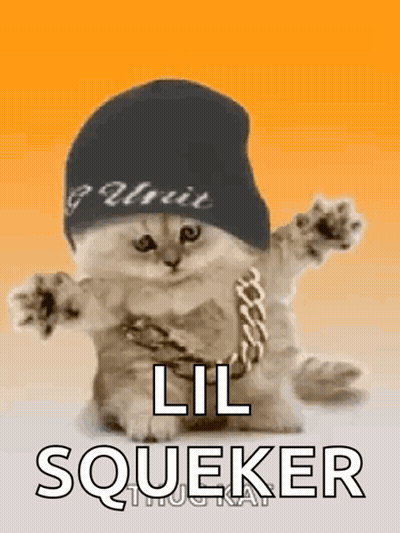 A Cat Wearing A Hat And Chains With The Words `` Lil Squeker '' Written Below It . GIF