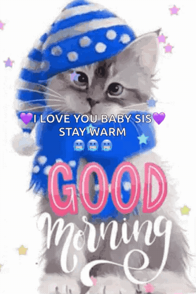 A Cat Wearing A Hat And Scarf Is Saying `` I Love You Baby Sis Stay Warm '' . GIF
