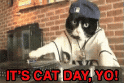 A Cat Wearing A Hat And Sunglasses Says It 'S Cat Day Yo ! GIF