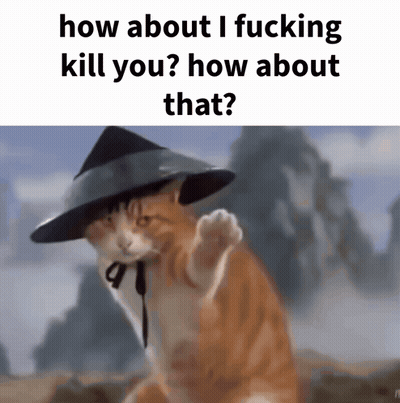A Cat Wearing A Hat Is Asking How About I Fucking Kill You How About That GIF
