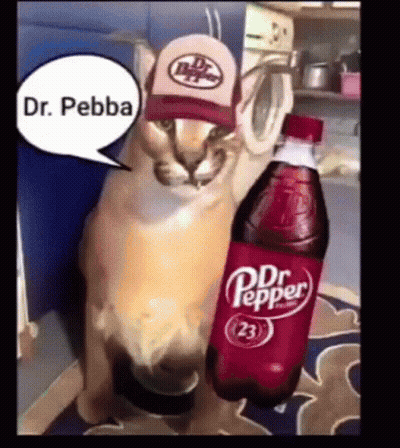 A Cat Wearing A Hat Is Holding A Bottle Of Dr Pepper . GIF