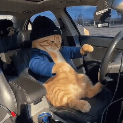 A Cat Wearing A Hat Is Sitting In A Car GIF