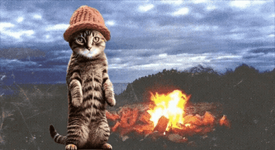 A Cat Wearing A Hat Stands Next To A Fire GIF