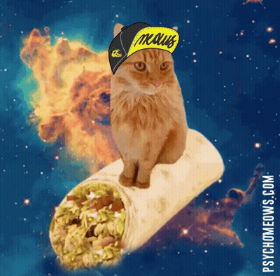 A Cat Wearing A Hat That Says Naus Sits On A Burrito In Outer Space GIF