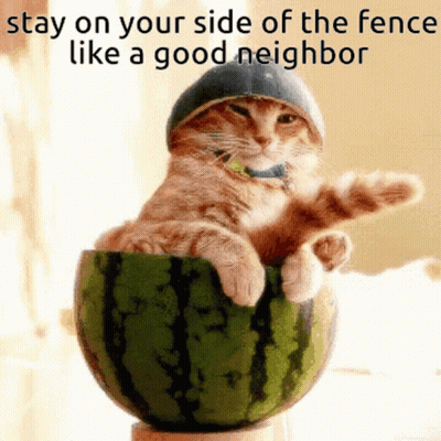 A Cat Wearing A Helmet Is Sitting In A Watermelon With The Caption Stay On Your Side Of The Fence Like A Good Neighbor GIF