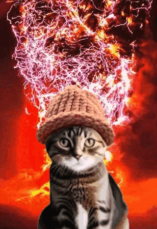 A Cat Wearing A Knitted Hat Is Surrounded By Fire And Lightning . GIF
