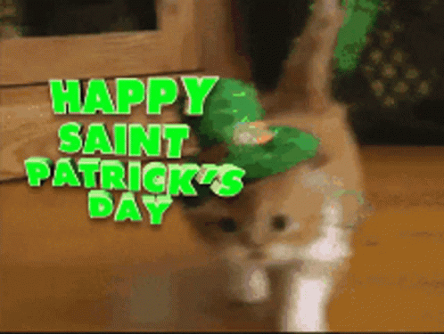 A Cat Wearing A Leprechaun Hat With The Words Happy Saint Patrick 'S Day GIF