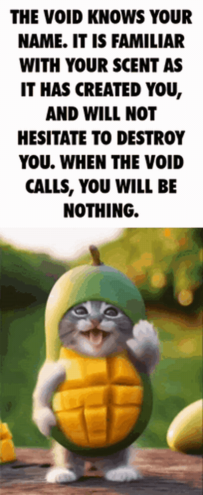 A Cat Wearing A Mango Costume With A Quote About The Void GIF