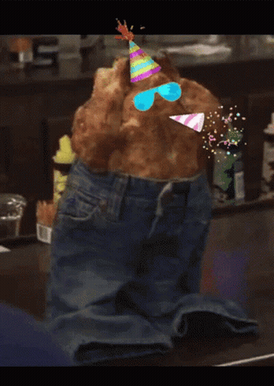 A Cat Wearing A Party Hat And Sunglasses Is Sitting On A Pair Of Jeans GIF