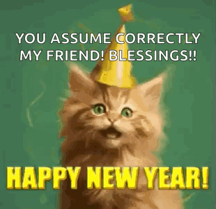 A Cat Wearing A Party Hat Is Saying `` You Assume Correctly My Friend ! Blessings ! '' GIF